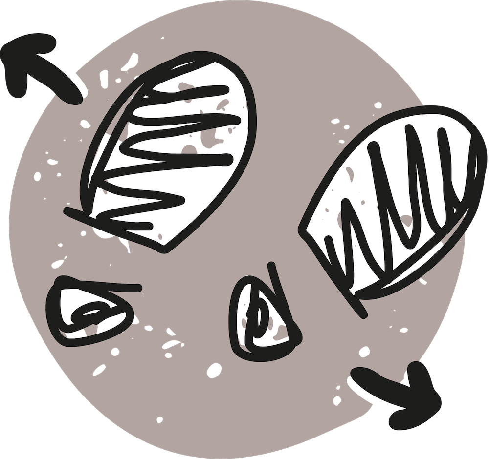 Enjoying Mole Valley's Open Spaces Mole Valley District Council